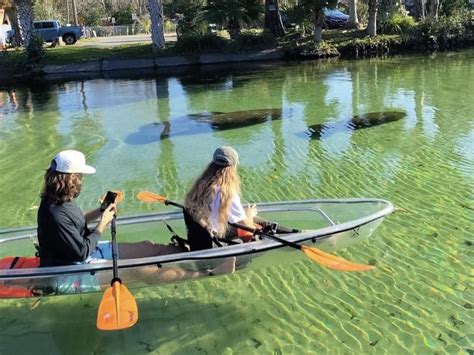 Clear Kayak Tours in Weeki Wachee. 279. Adventure Tours. 120–135 minutes. Minutes from the famous Weeki Wachee Springs State Park mermaids see the river from a whole new perspective with this kayaking…. Free cancellation. Recommended by 97% of travelers. from. $79. 